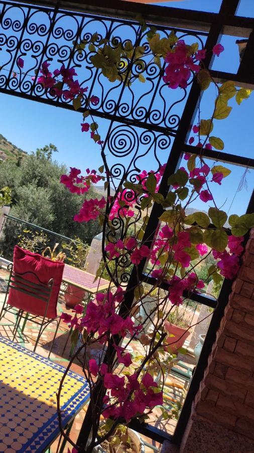 Riad Scalia Traditional Guesthouse Fes Morocco Εξωτερικό φωτογραφία